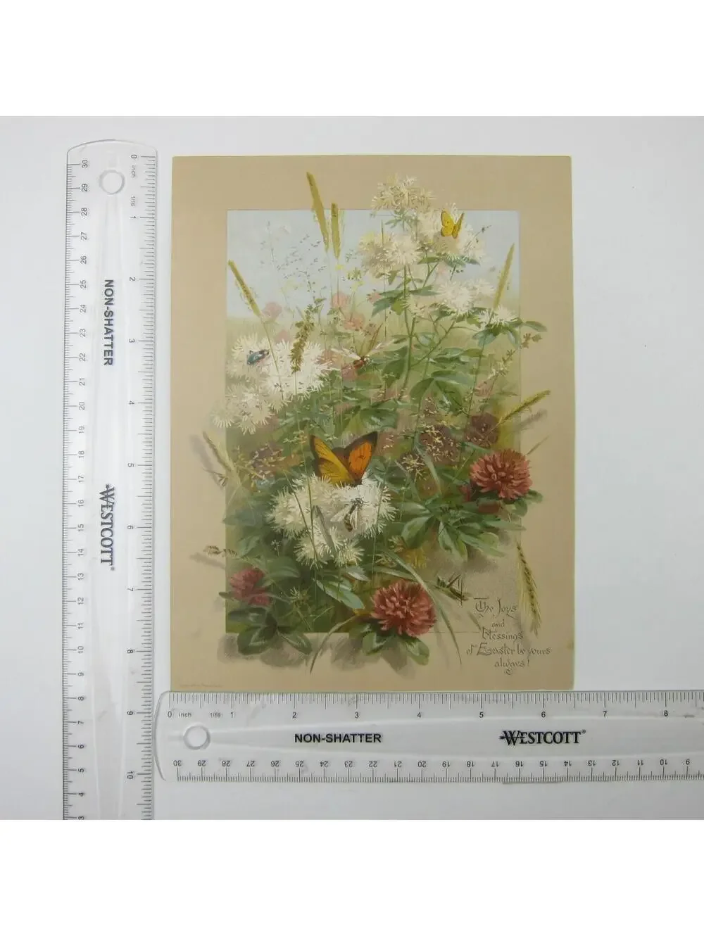 Victorian Easter Greeting Card Flowers Wheat Butterfly Grasshopper Antique 1884